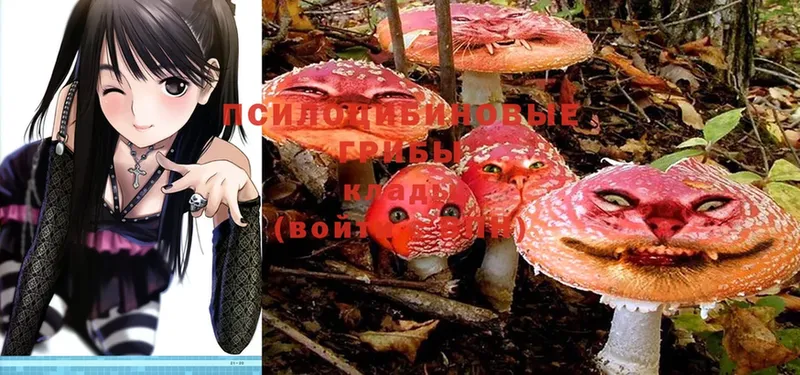 Псилоцибиновые грибы Magic Shrooms  Беломорск 